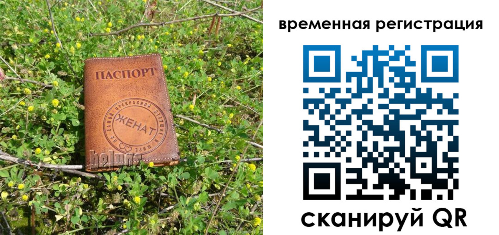 прописка регистрация в Вологодской области